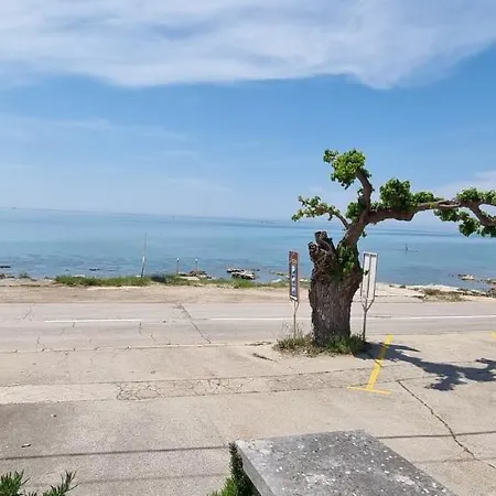Apartment App Maria 3